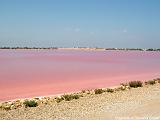 SALINS DU MIDI Immagine 303